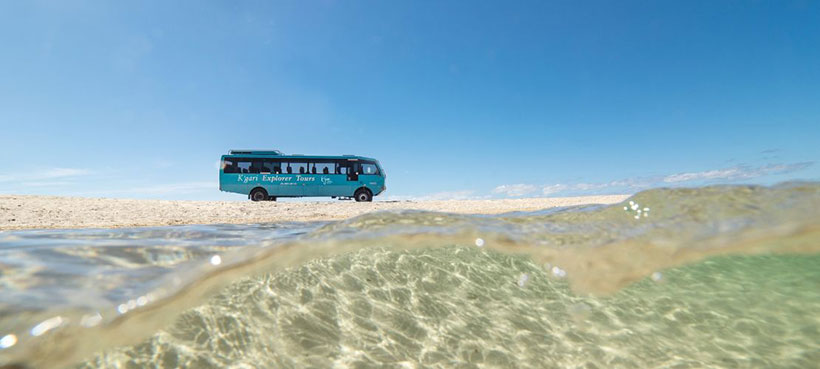 K'gari Explorer Tours