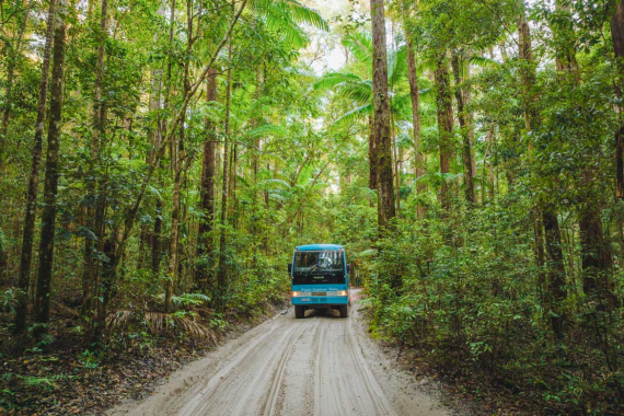 10% OFF 4WD Island Tours