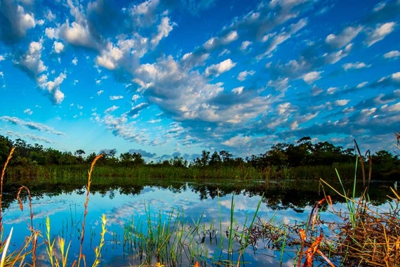 Things To Do on Fraser Island