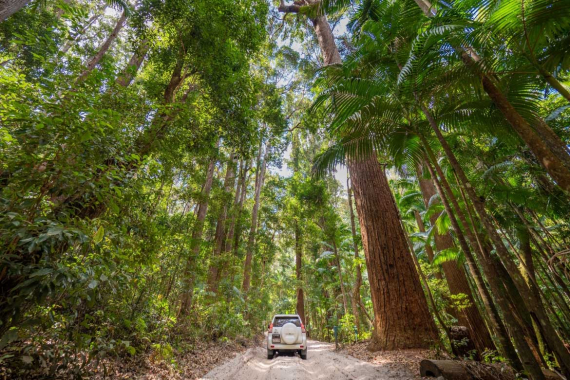 K&#039;gari (Fraser Island) Self Drive