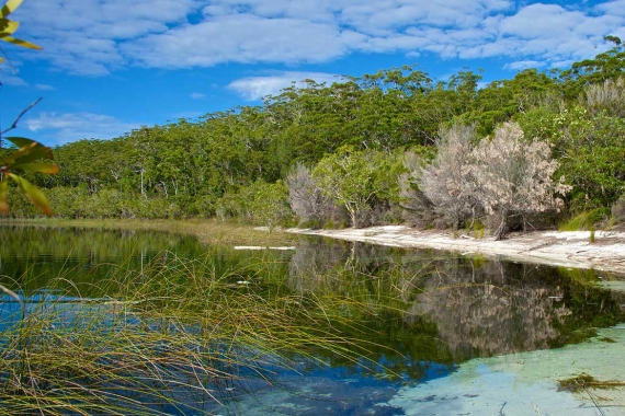 K&#039;gari (Fraser Island) Research