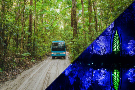 20% OFF K’gari 4-Day Experience + Illumina